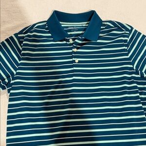 Stylish Teal Striped Polo Shirt for Men Walter Hagen